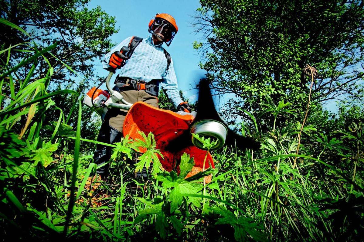 landscaping grass cutter gardening lawn care crew